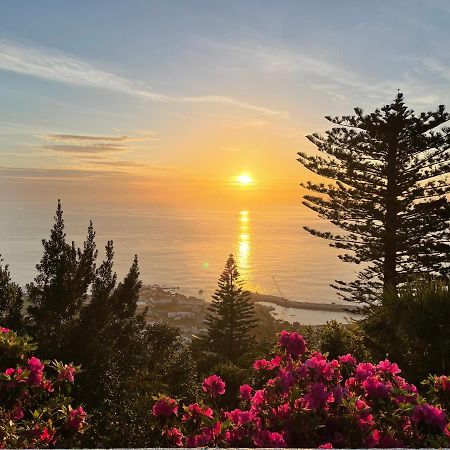 A Quinta Das Flores- Casa Do Miradouro Санта-Круш-даш-Флореш Екстер'єр фото